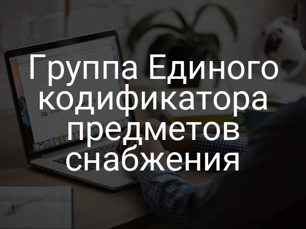Группа Единого кодификатора предметов снабжения
