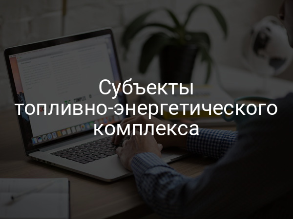 Субъекты топливно-энергетического комплекса