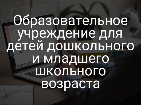 Образовательное учреждение для детей дошкольного и младшего школьного возраста