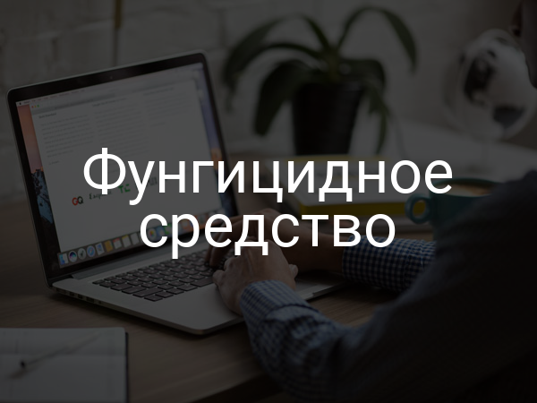 Фунгицидное средство