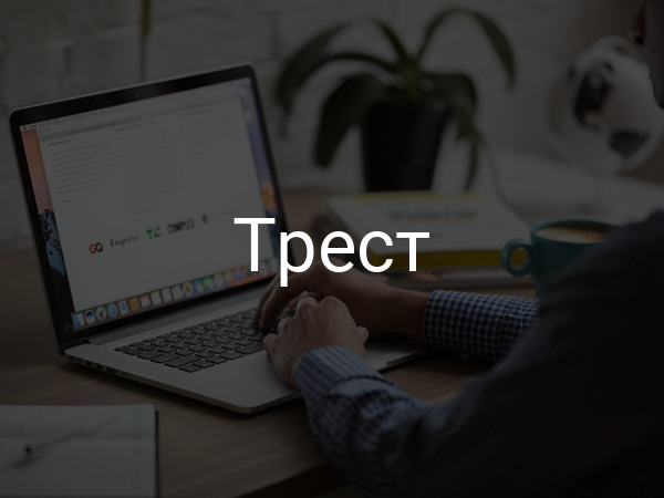 Трест
