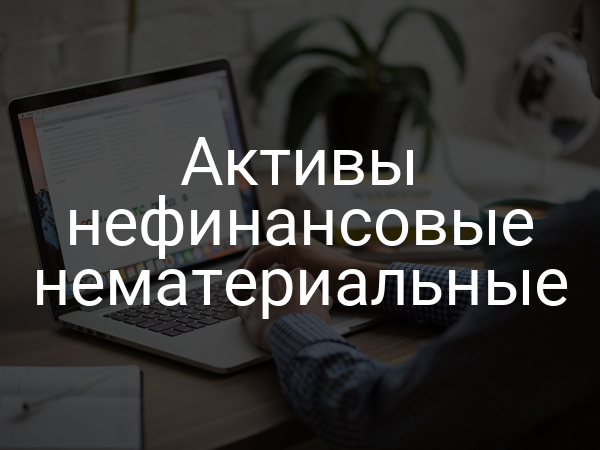 Активы нефинансовые нематериальные