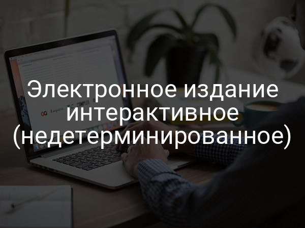 Электронное издание интерактивное (недетерминированное)