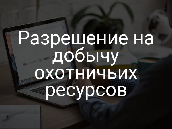 Разрешение на добычу охотничьих ресурсов