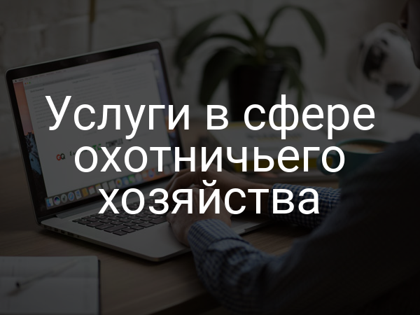 Услуги в сфере охотничьего хозяйства