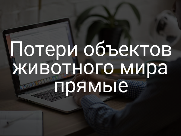 Потери объектов животного мира прямые