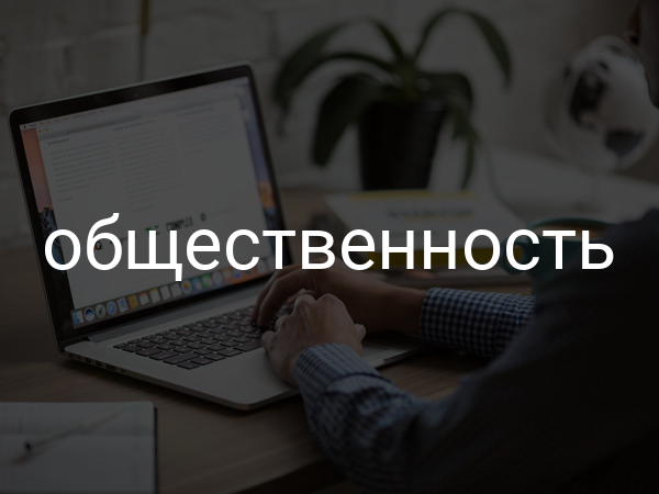 Общественность
