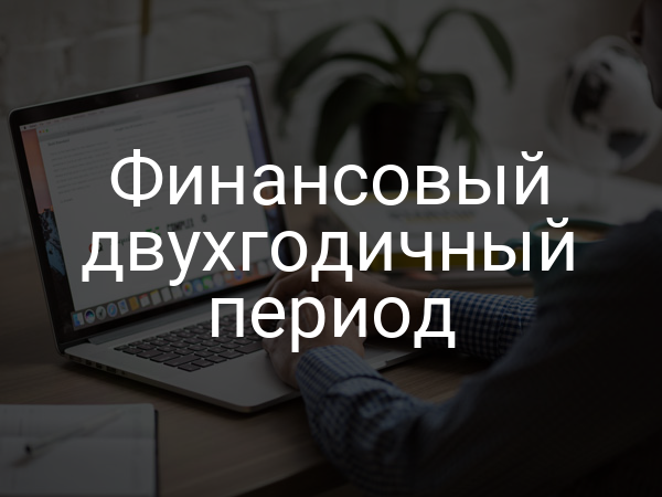 Финансовый двухгодичный период