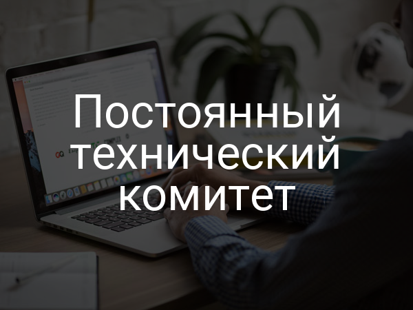 Постоянный технический комитет