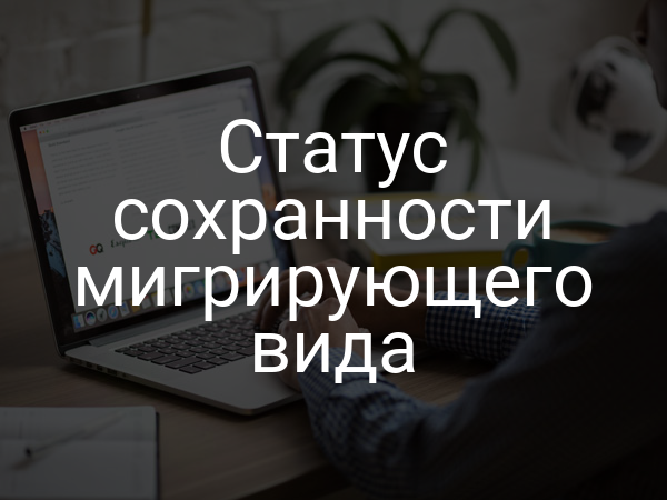 Статус сохранности мигрирующего вида