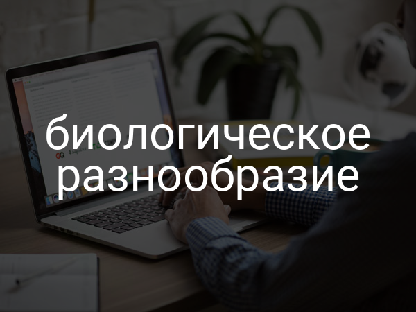 Биологическое разнообразие