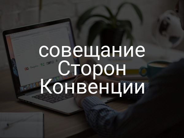 совещание Сторон Конвенции
