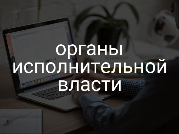 органы исполнительной власти