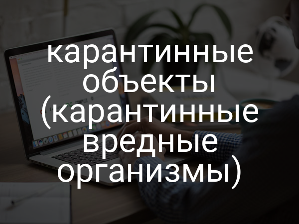 карантинные объекты (карантинные вредные организмы)