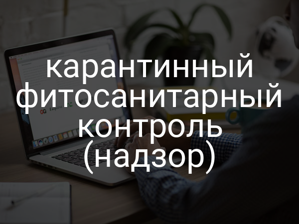 карантинный фитосанитарный контроль (надзор)