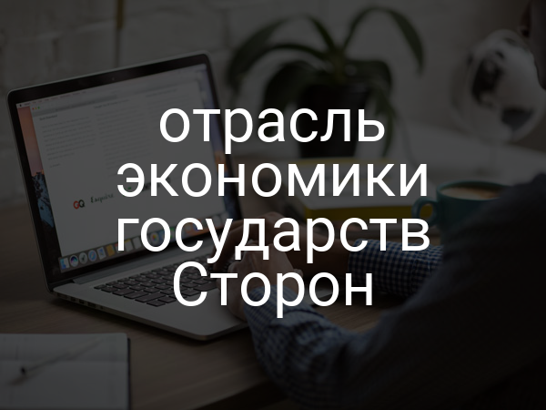 отрасль экономики государств Сторон