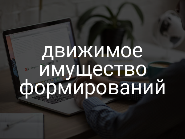 движимое имущество формирований