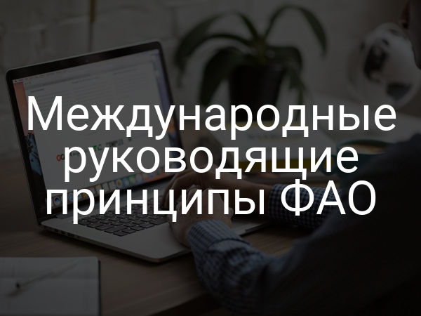 Международные руководящие принципы ФАО