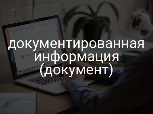 документированная информация (документ)