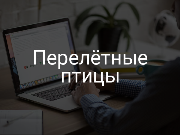 перелетные птицы