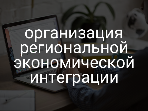 организация региональной экономической интеграции