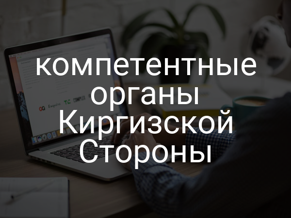 компетентные органы Киргизской Стороны