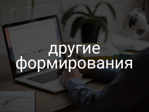 другие формирования