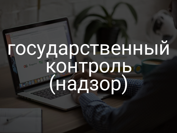 государственный контроль (надзор)