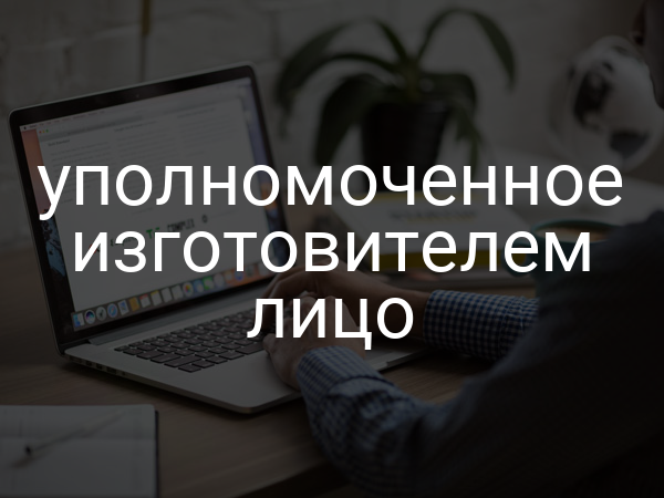 уполномоченное изготовителем лицо