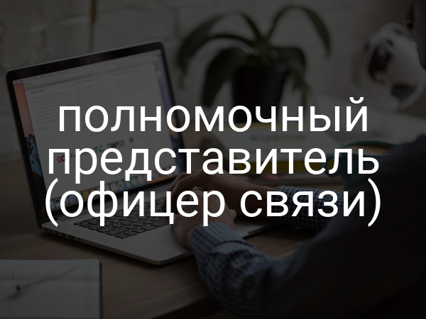 полномочный представитель (офицер связи)