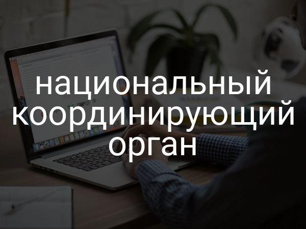национальный координирующий орган
