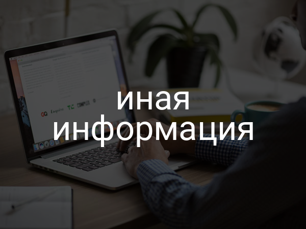 иная информация