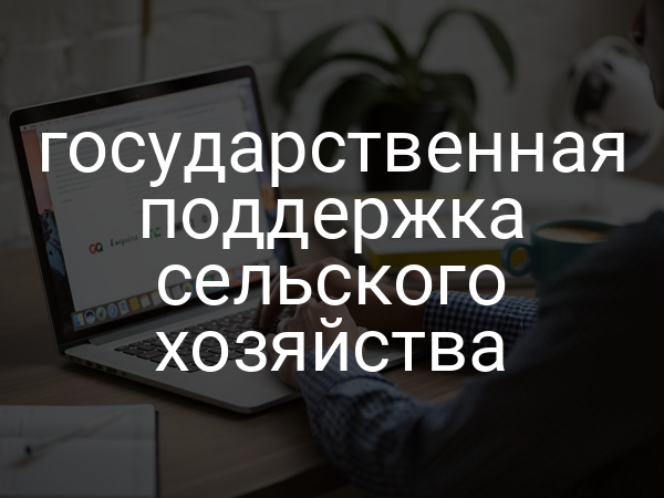 государственная поддержка сельского хозяйства