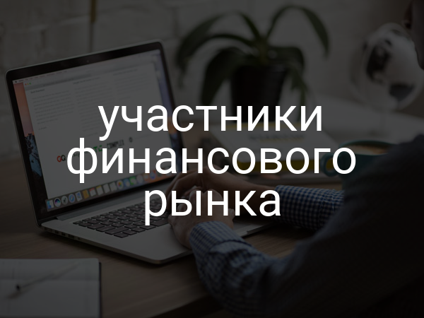 участники финансового рынка