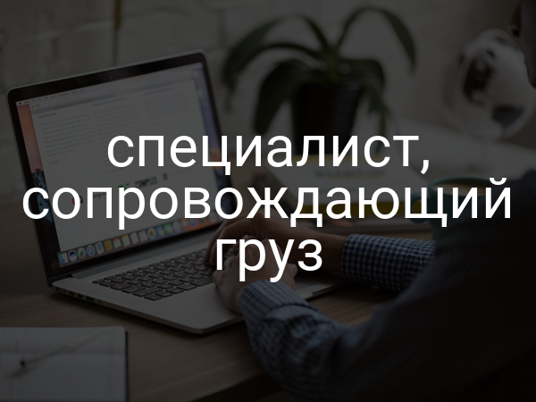 специалист, сопровождающий груз