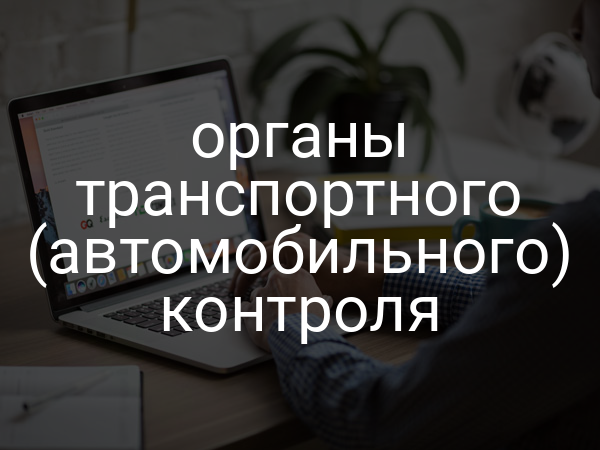 органы транспортного (автомобильного) контроля