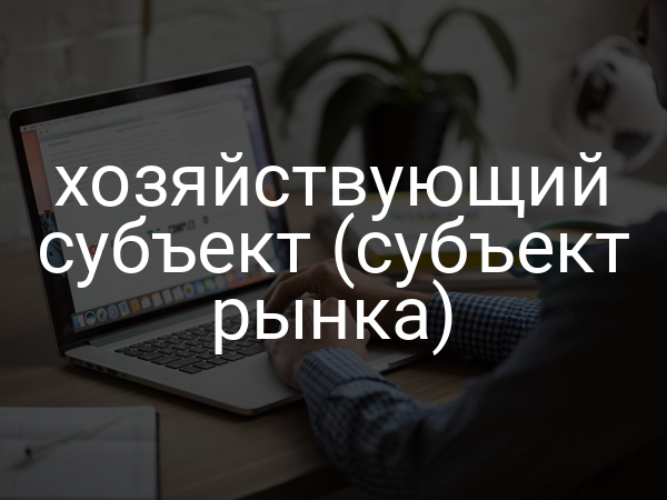 хозяйствующий субъект (субъект рынка)