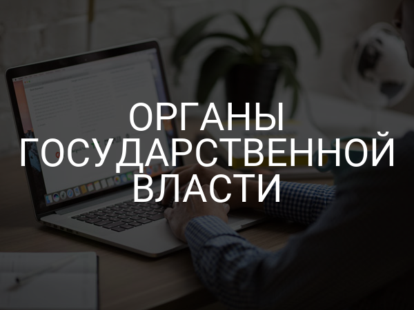 органы государственной власти