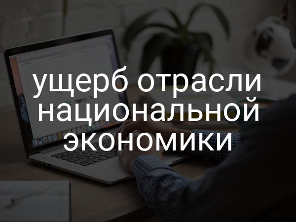 ущерб отрасли национальной экономики