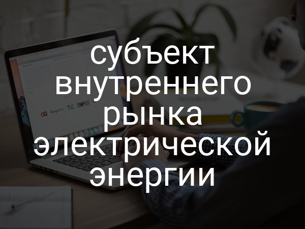 субъект внутреннего рынка электрической энергии