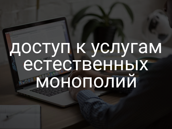 доступ к услугам естественных монополий