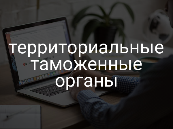 территориальные таможенные органы