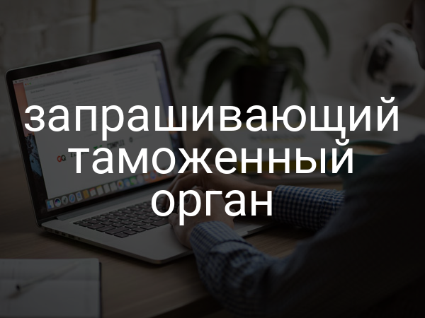 запрашивающий таможенный орган