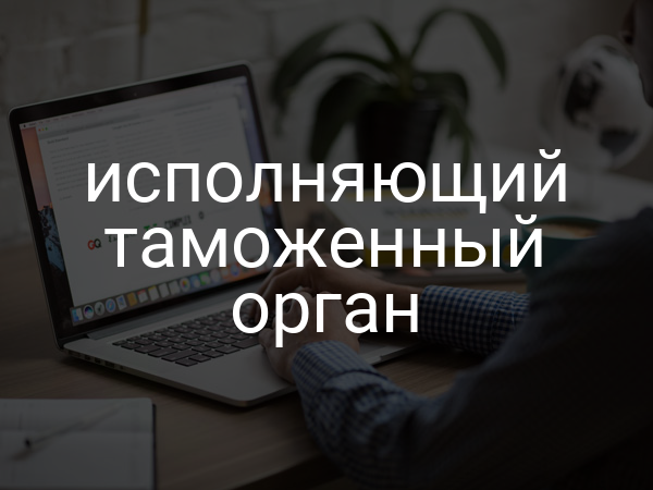 исполняющий таможенный орган