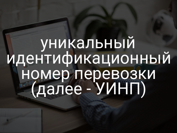 уникальный идентификационный номер перевозки (далее - УИНП)