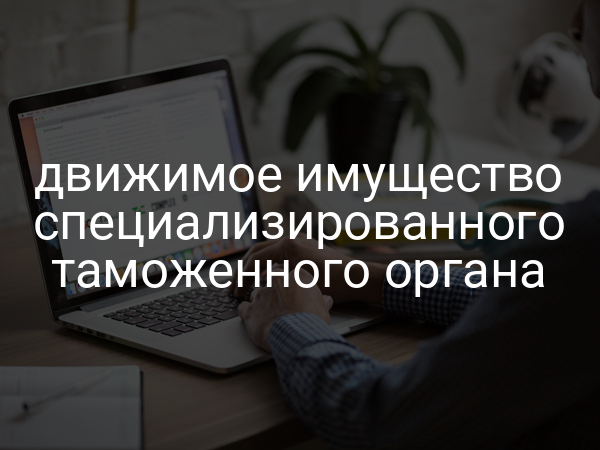 движимое имущество специализированного таможенного органа