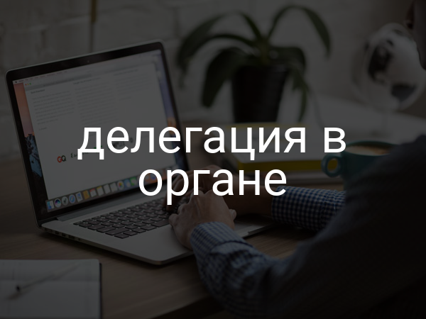 делегация в органе