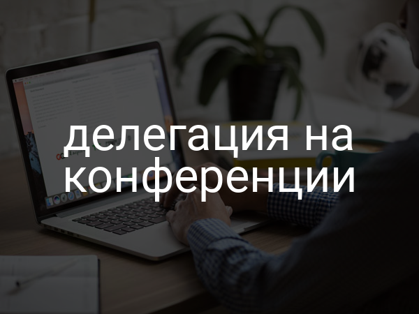 делегация на конференции