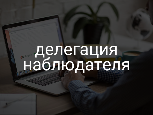 делегация наблюдателя