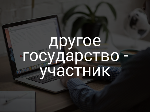 другое государство - участник